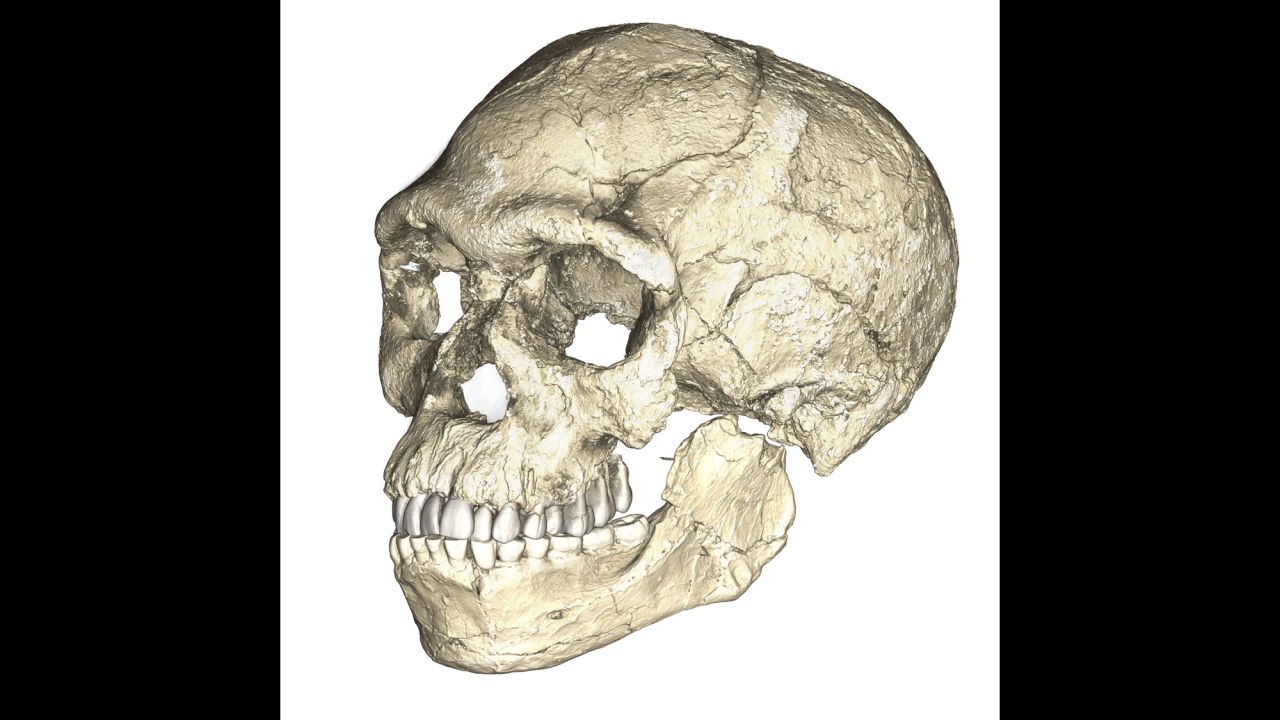 This is a composite reconstruction of the oldest Homo sapiens fossils found in Morocco, using scans of original fossils found at the site. 