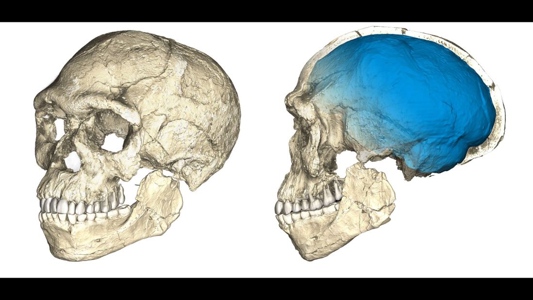While the facial features appear more modern and comparative to ours, the brain case is elongated. This suggests that the brain shape and function evolved in these early Homo sapiens.