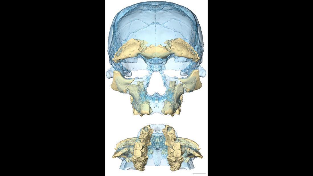 This image provides two views of the pieces found and associated with one of the fossils, thought to be a young adult woman. 