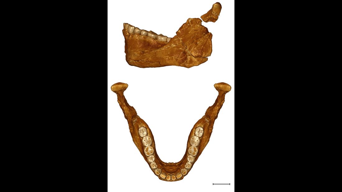 Being able to look at this mandible allowed the researchers to compare it to those of modern humans, as well as Neanderthals. 