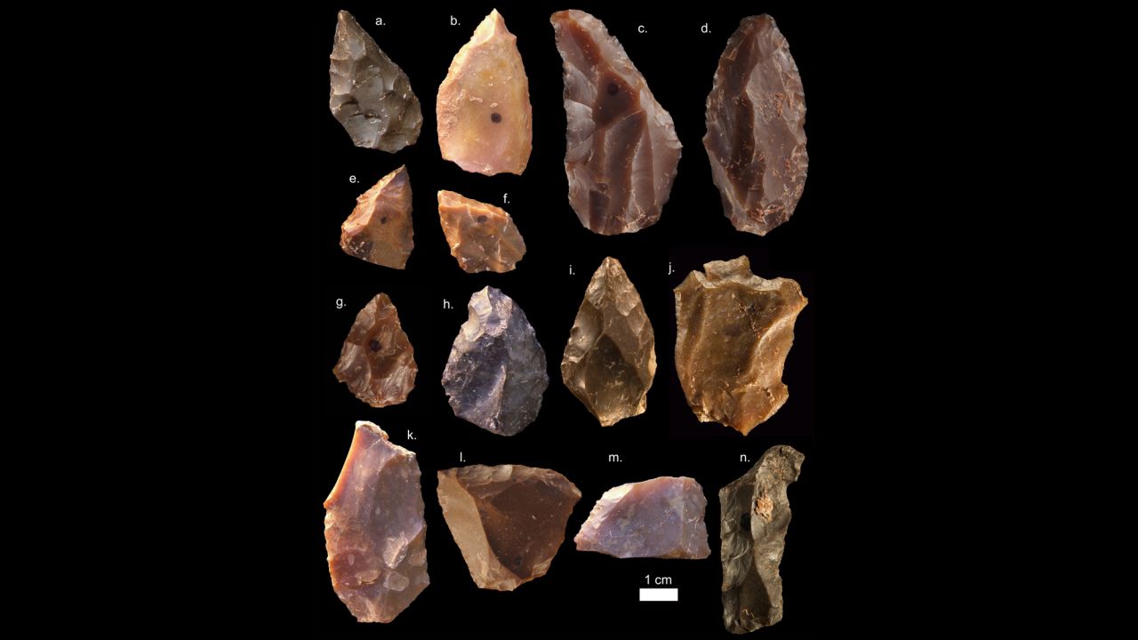 Stone tools recovered from the site reveal flint flakes shaped by early Homo sapiens with points and cores for more efficient hunting.
