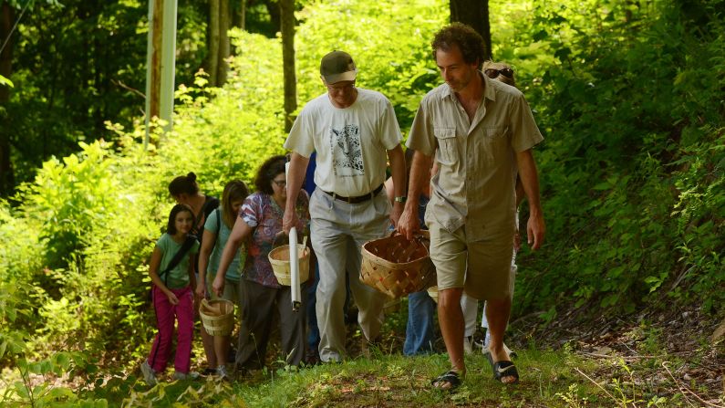 <strong>Foraging in North Carolina: </strong>Join a small group with No Taste Like Home in search of mushrooms, greens, fruit, nuts and roots in Asheville. 