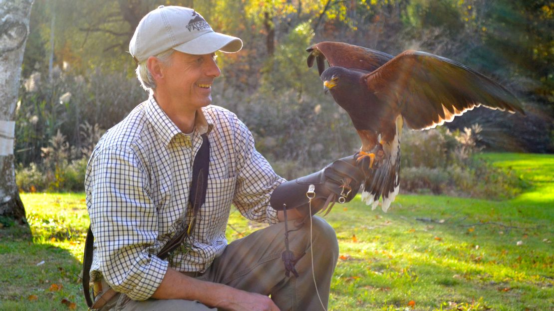Commune with powerful birds at Green Mountain Falconry School.