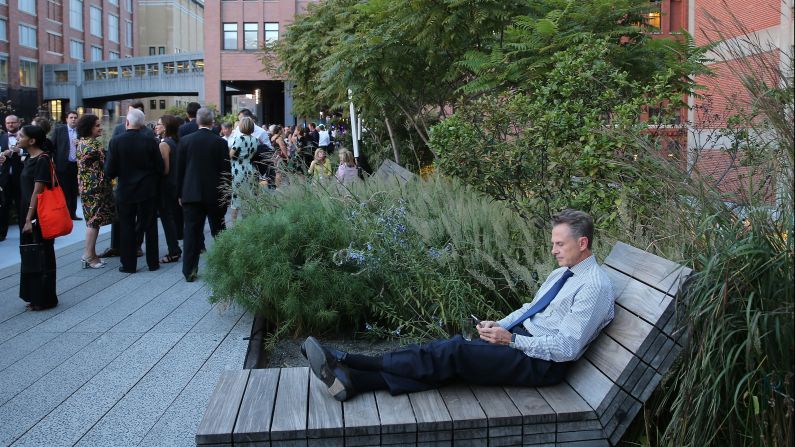 A man relaxes in the High Line park.