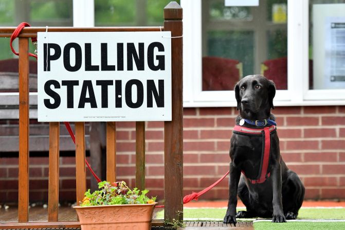 A dog waits outside a polling station in Stalybridge, England. Many people in the UK have been using the hashtag #DogsAtPollingStations<a href="index.php?page=&url=http%3A%2F%2Fwww.cnn.com%2F2017%2F06%2F08%2Feurope%2Fdogs-at-polling-stations-uk-election%2Findex.html" target="_blank"> to show off their pooches at the polls.</a>
