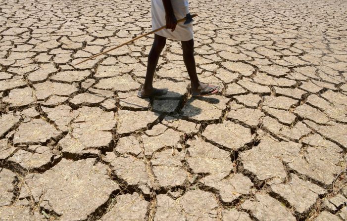 An Indian farmer in a dried up cotton field in the southern Indian state of Telangana, in April 2016. Much of India is <a href="index.php?page=&url=http%3A%2F%2Fedition.cnn.com%2F2016%2F05%2F04%2Fasia%2Fgallery%2Findia-drought-crisis%2Findex.html">reeling</a> from a heat wave and severe drought conditions that have decimated crops, killed livestock and left at least 330 million people without enough water for their daily needs.
