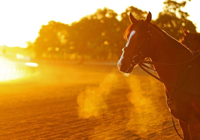 The Belmont Stakes is the oldest event in horseracing's esteemed Triple Crown. 