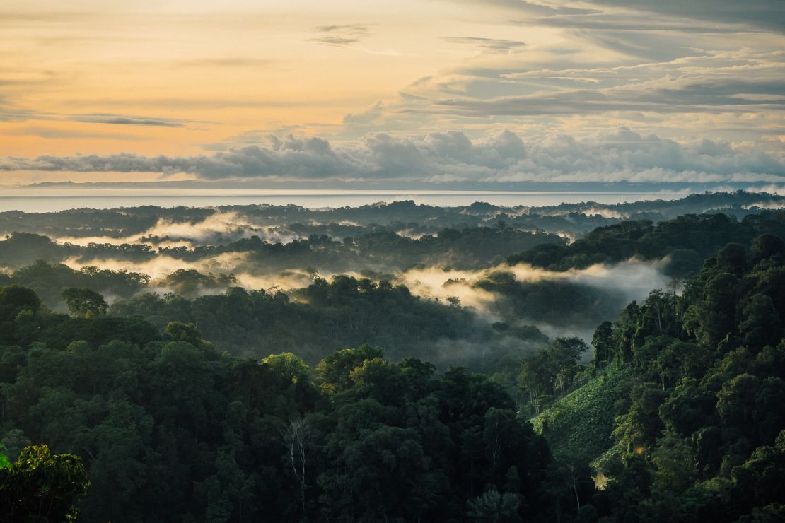 Costa Rica is blessed with some of the most biodiverse ecosystems on earth.