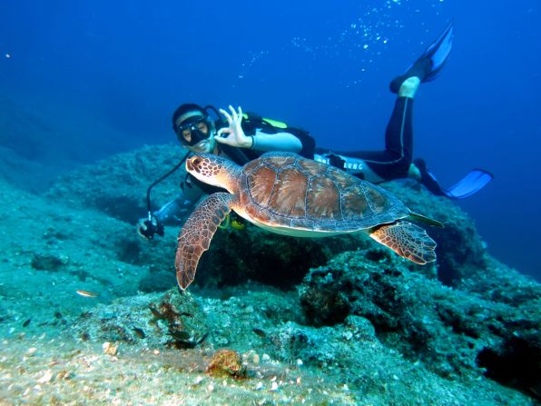 <strong>Alagadi Beach, Cyprus: </strong>Long-term visitors can join Cyprus Turtles, a turtle conservation project on<strong> </strong>the north coast of Cyprus, where endangered green and loggerhead turtles can be found. <br />
