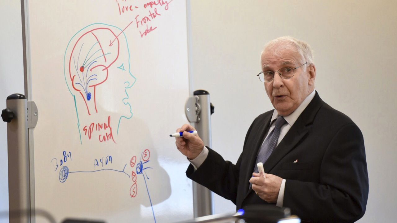 Dr. Peter Breggin uses a whiteboard to illustrate a point Monday at Michelle Carter's trial.