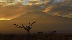 Picture taken on November 3, 2016 at the Amboseli National Park shows the Mount Kilimanjaro. / AFP / CARL DE SOUZA        (Photo credit should read CARL DE SOUZA/AFP/Getty Images)