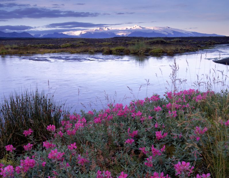 <strong>Skaftafell </strong>- It's particularly striking on clear days with the snow-capped mountains and blue skies in the background. 