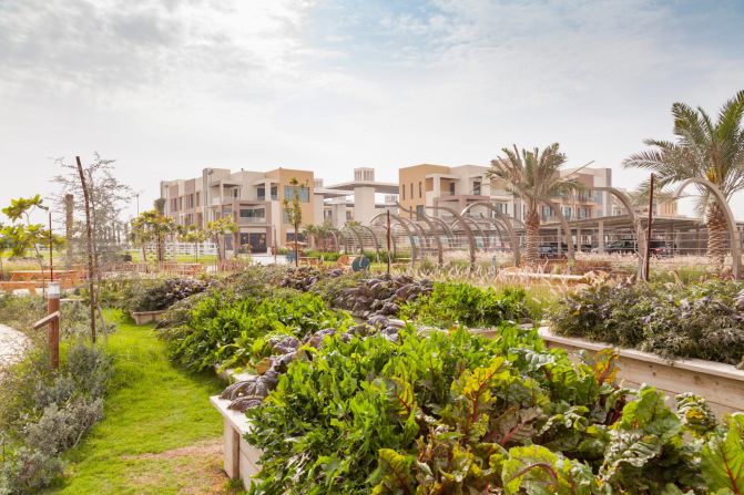 Part of the water on site goes towards managing the vegetable patches to supplying the community's food needs.