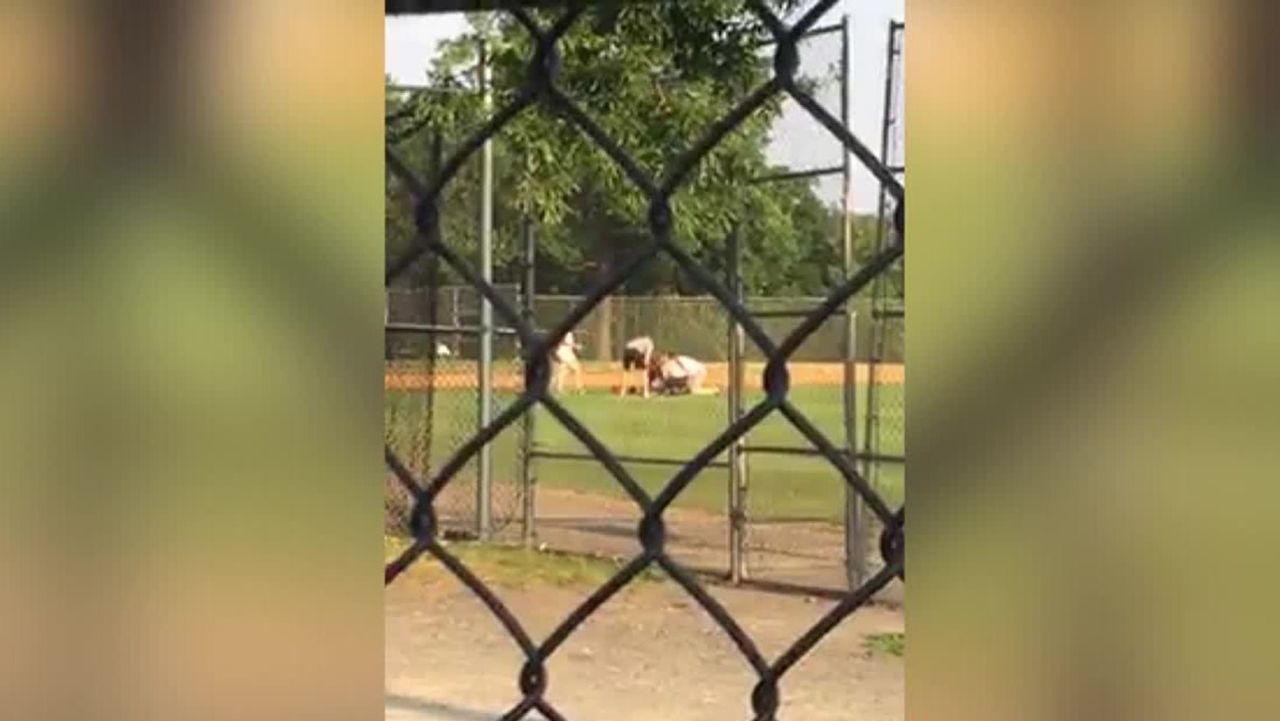 alexandria rep scalise shooting cell phone video noah nathan vo_00054520.jpg