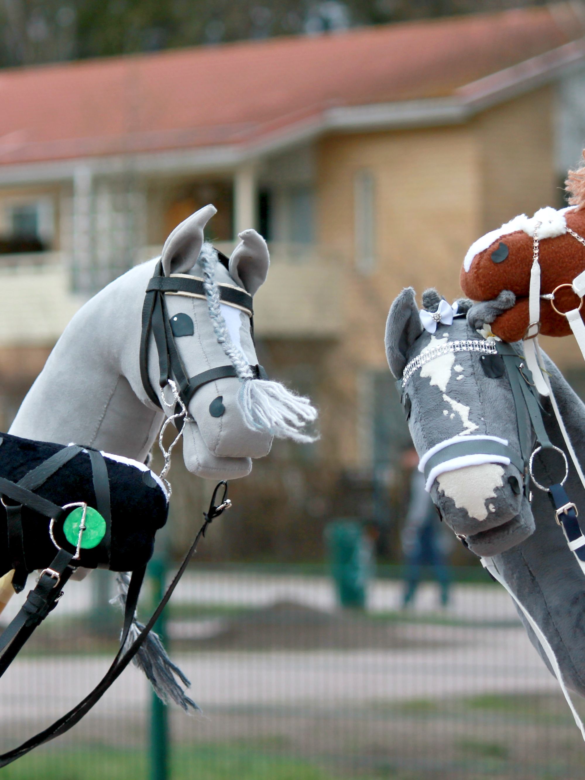 Hobbyhorse fever sweeps across Finland | CNN