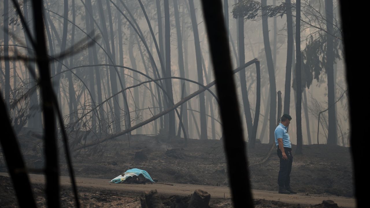 A policeman stands by the body of a victim of a wildfire in Pedrogao Grande, central Portugal. 