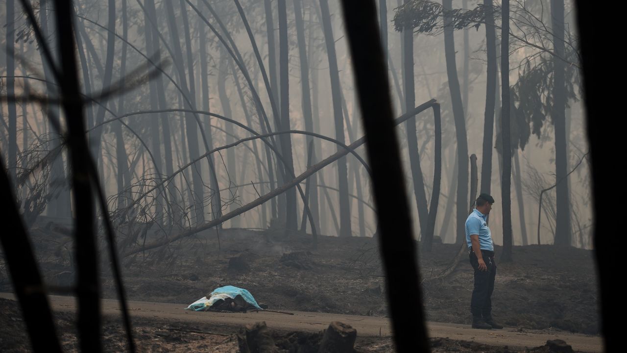 A policeman stands by the body of a victim of a wildfire in Pedrogao Grande, central Portugal.