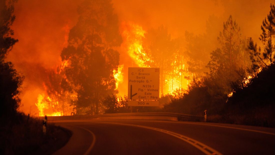 Flames rise during a forest fire in Pedrogao Grande, Portugal. 