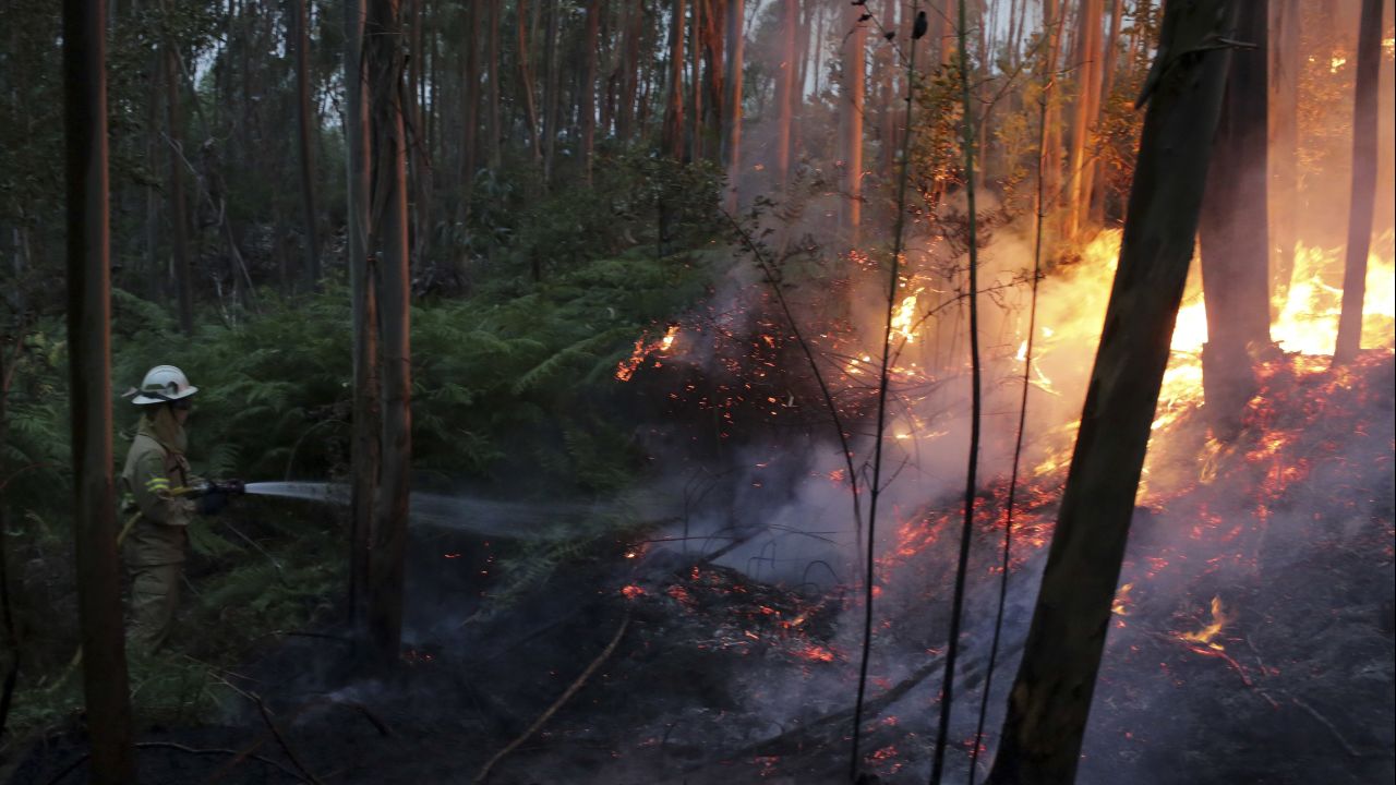 Firefighters from the Portuguese National Republican Guard work to put out the fire.
