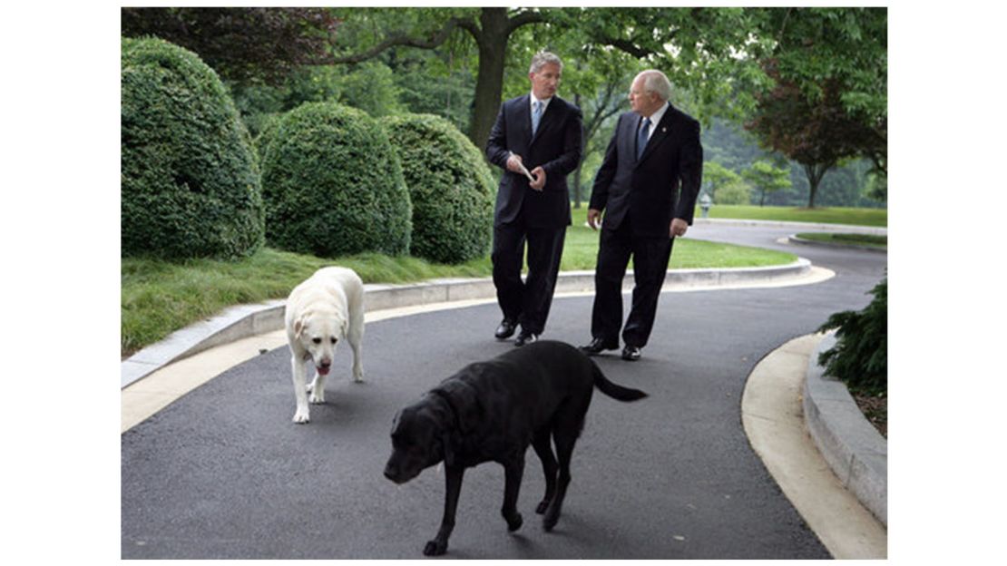 Cheney WH dogs