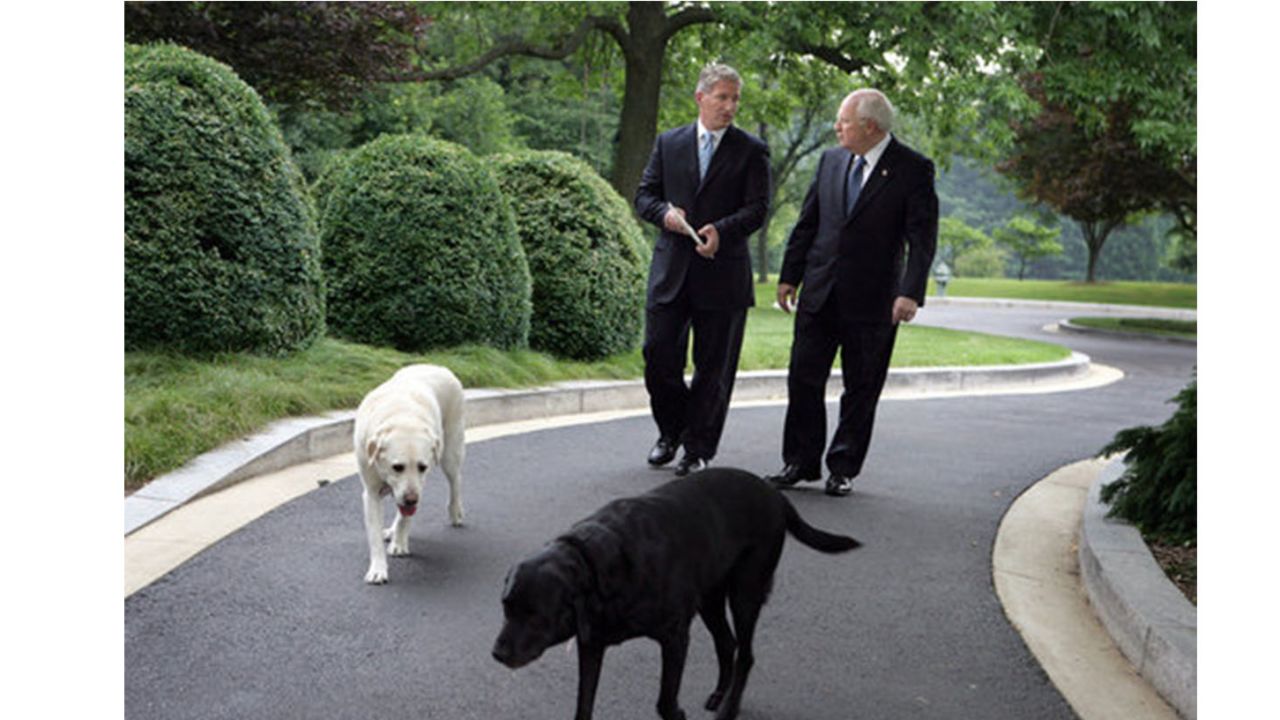 Cheney WH dogs