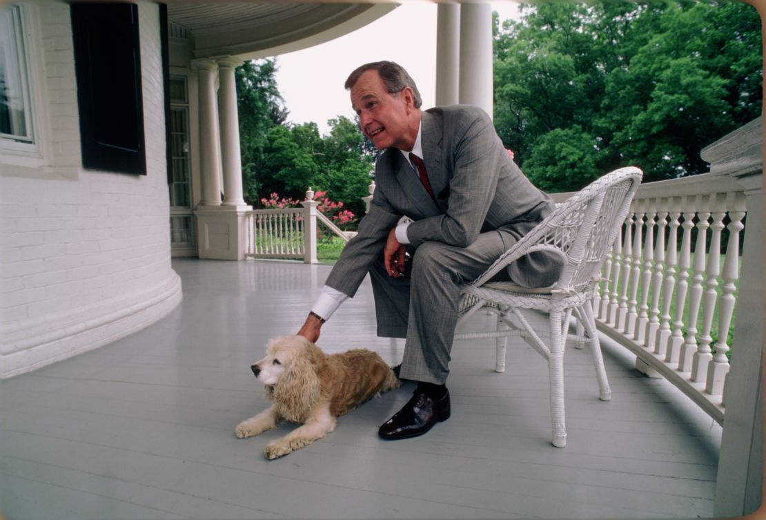 WASHINGTON, DC -- CIRCA 1983: U.S. Vice President George H.W. Bush  and the Bush's Golden Cocker Spaniel, C. Fred, at the Vice President's residence circa 1983 in Washington, DC. (Photo by David Hume Kennerly/Getty Images)