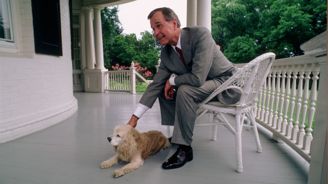 WASHINGTON, DC -- CIRCA 1983: U.S. Vice President George H.W. Bush  and the Bush's Golden Cocker Spaniel, C. Fred, at the Vice President's residence circa 1983 in Washington, DC. (Photo by David Hume Kennerly/Getty Images)