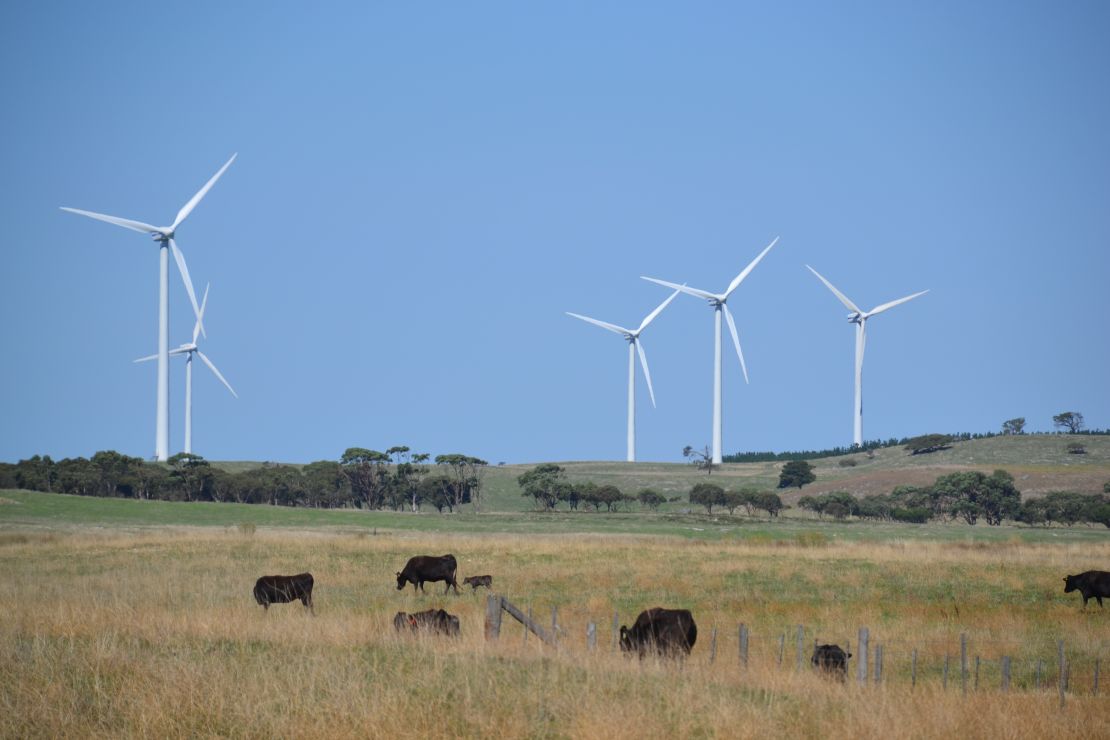 Mayura Station is an Australian ranch known for its distinctive approach to rearing cows.