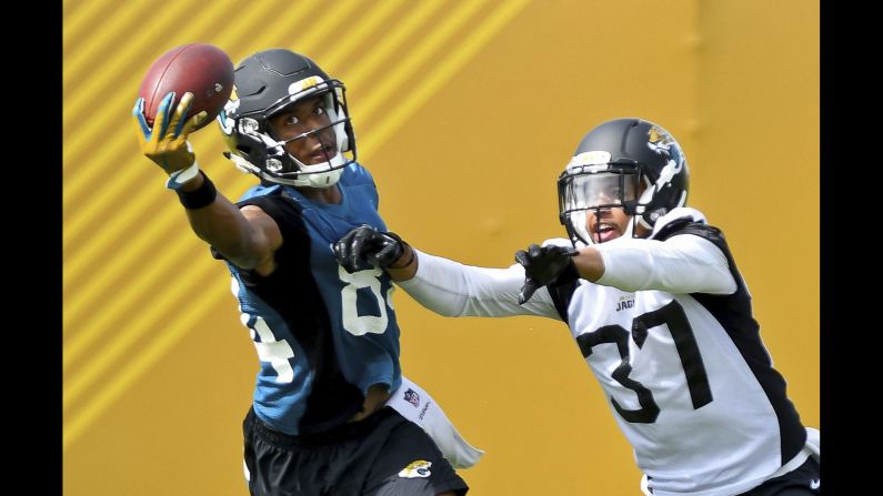 Keelan Cole makes a one-handed catch during the Jacksonville Jaguars' minicamp on Tuesday, June 13. The NFL season begins in early September.