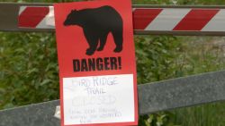 Two Alaska towns are reeling after separate bear attacks claimed two lives in a span of just two days