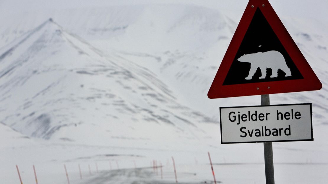 A road sign warns motorists of the presence of polar bears on Svalbard.