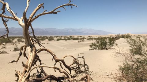 Death Valley is called the hottest, driest and lowest national park.