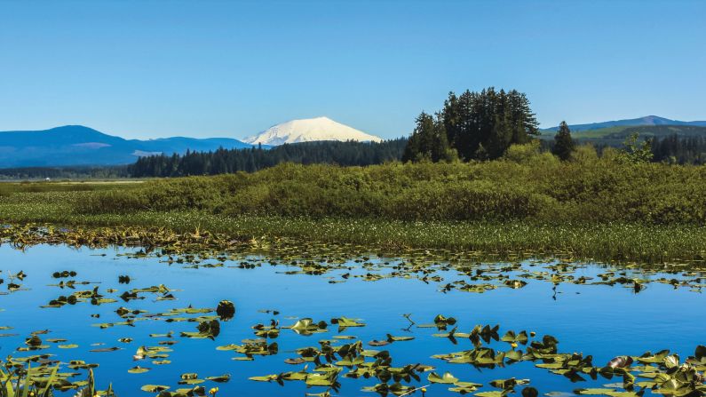 <strong>Intrepid Travel solar eclipse trips: </strong>Intrepid Travel offers six solar eclipse-themed itineraries to catch this rare phenomenon. One trip offers views of Mount St. Helens in Skamania County, Washington. 