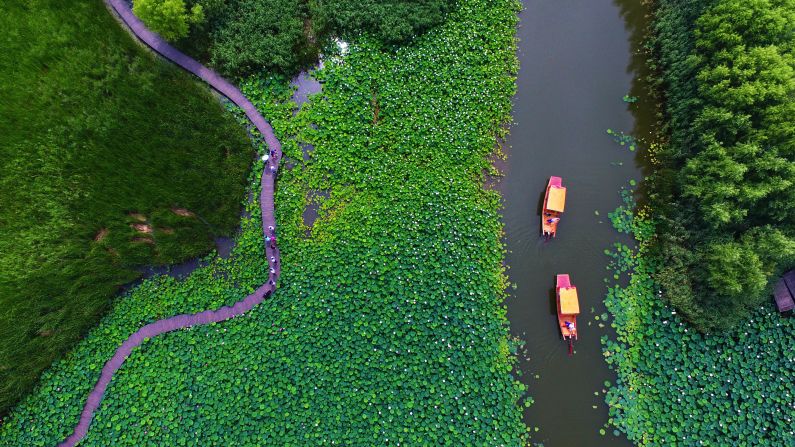 <strong>Zaozhuang, Shandong, China:</strong> Every summer, Zaozhuang City's wetland parks, especially Honghe Wetland Park -- the biggest natural wetland in northern China -- put on a grand lotus blossom display. 