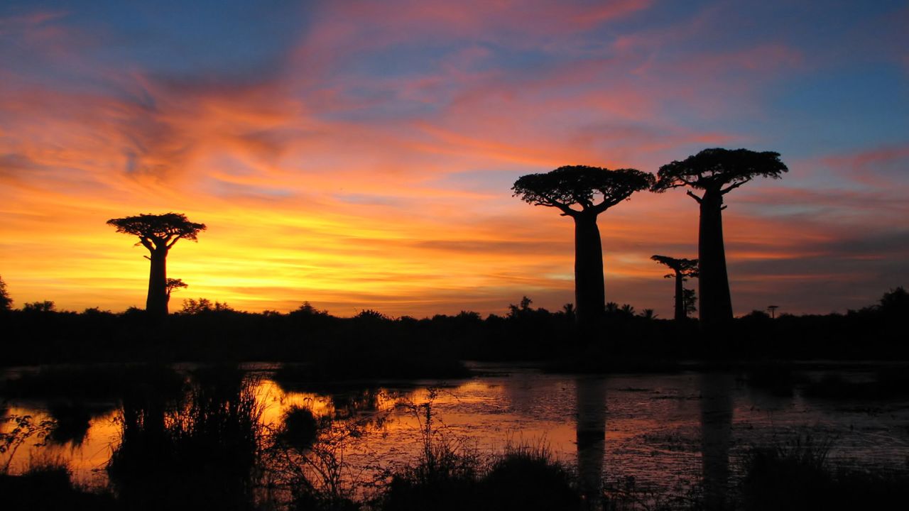 Sunset at L'Allee des Baobabs is as spectacular as the wildlife encountered in Madagascar.