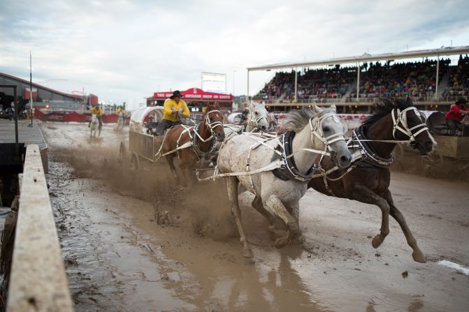 <strong>Off to the races:</strong> In the evening, the action starts with a chuckwagon derby, where a driver (on a wagon) steers a team of galloping horses around the stadium.