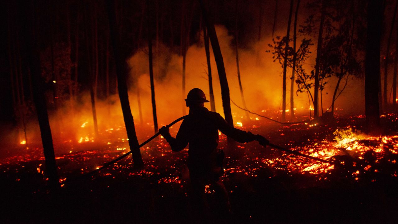 A firefighter works in a forest in Leiria, Portugal, on Monday, June 19. <a href="http://www.cnn.com/2017/06/18/europe/portugal-fire/index.html" target="_blank">A raging wildfire</a> has killed at least 62 people and injured dozens more in what officials described as the "greatest wildfire tragedy of recent years."