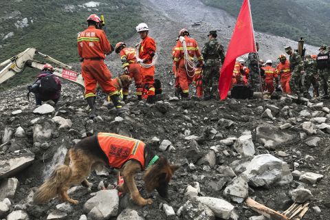 Rescuers with sniffer dogs stand near equipment digging at the site of the landslide.