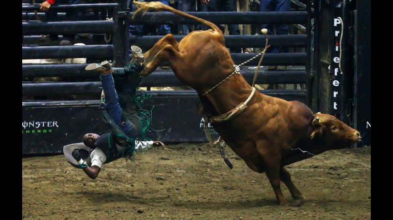 Juliano Antonio Da Silva falls during a Professional Bull Riders event in Toronto on Saturday, June 24.