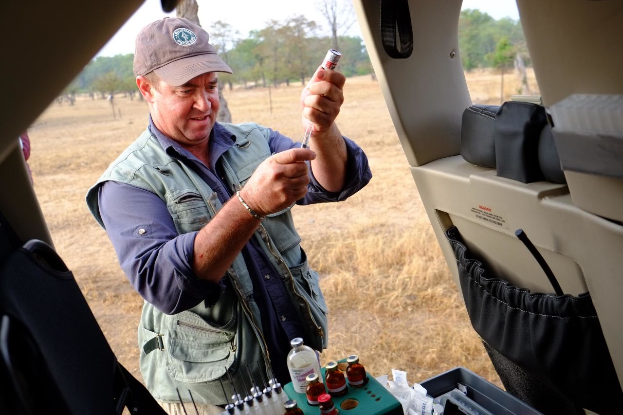 Wildlife vet Andre Uys fires tranquilizer darts at elephants from a helicopter, bringing the elephants down one by one, so his team can move in safely.