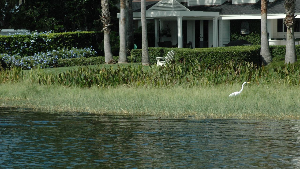 The pontoon tour takes guests past Gatsby-like lakeside mansions.