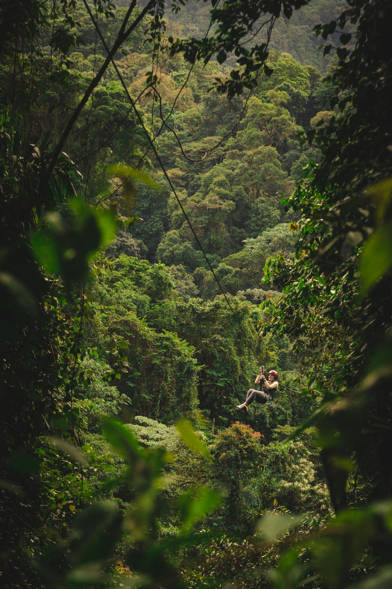 <strong>World's coolest zip lines</strong>: Zip liners in Costa Rica can experience the glory of the rainforest from above.