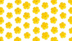 Colorscope_yellow_cover_buttercup-1600