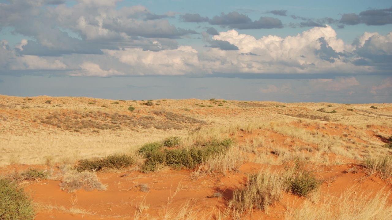 <strong>Khomani Cultural Landscape, South Africa: </strong>Located at the border with Botswana and Namibia, this large expanse of sand contains evidence of human occupation from the Stone Age to the present and is associated with the culture of the Khomani San people and the strategies that allowed them to adapt to harsh desert conditions, says UNESCO. 