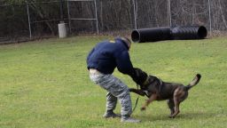 Military K 9 dog champions for change