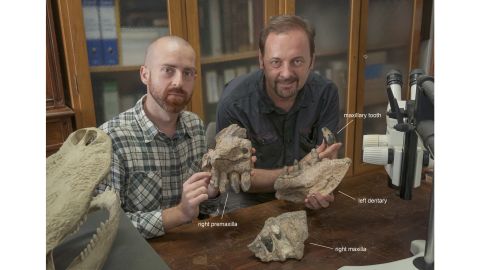 Simone Maganuco, left, and Cristiano Dal Sasso showcase some of Razana's skull bones.