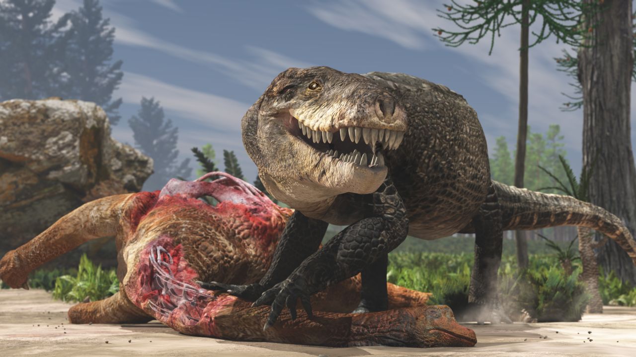 Razana would have preyed on sauropods.