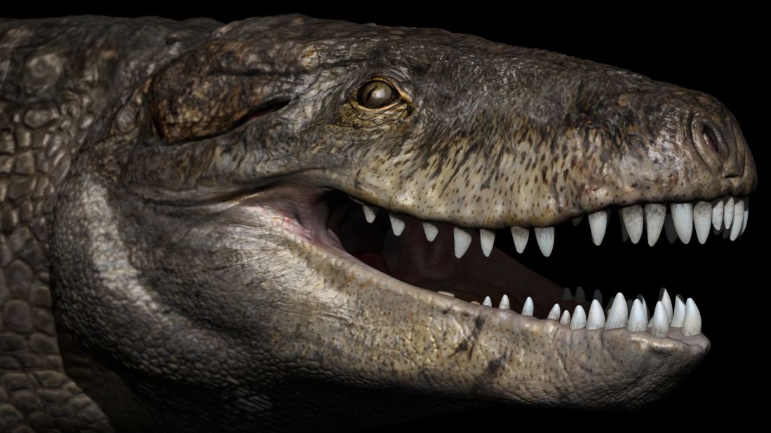 Razanandrongobe sakalavae, or "<a href="http://www.cnn.com/2017/07/04/world/giant-crocodile-razana-study/index.html">Razana</a>," was one of the top predators of the Jurassic period in Madagascar 170 million years ago. Although it looks different from modern-day crocodiles and had teeth similar to a T. rex's, Razana was not a dinosaur but a crocodile relative with a deep skull. 