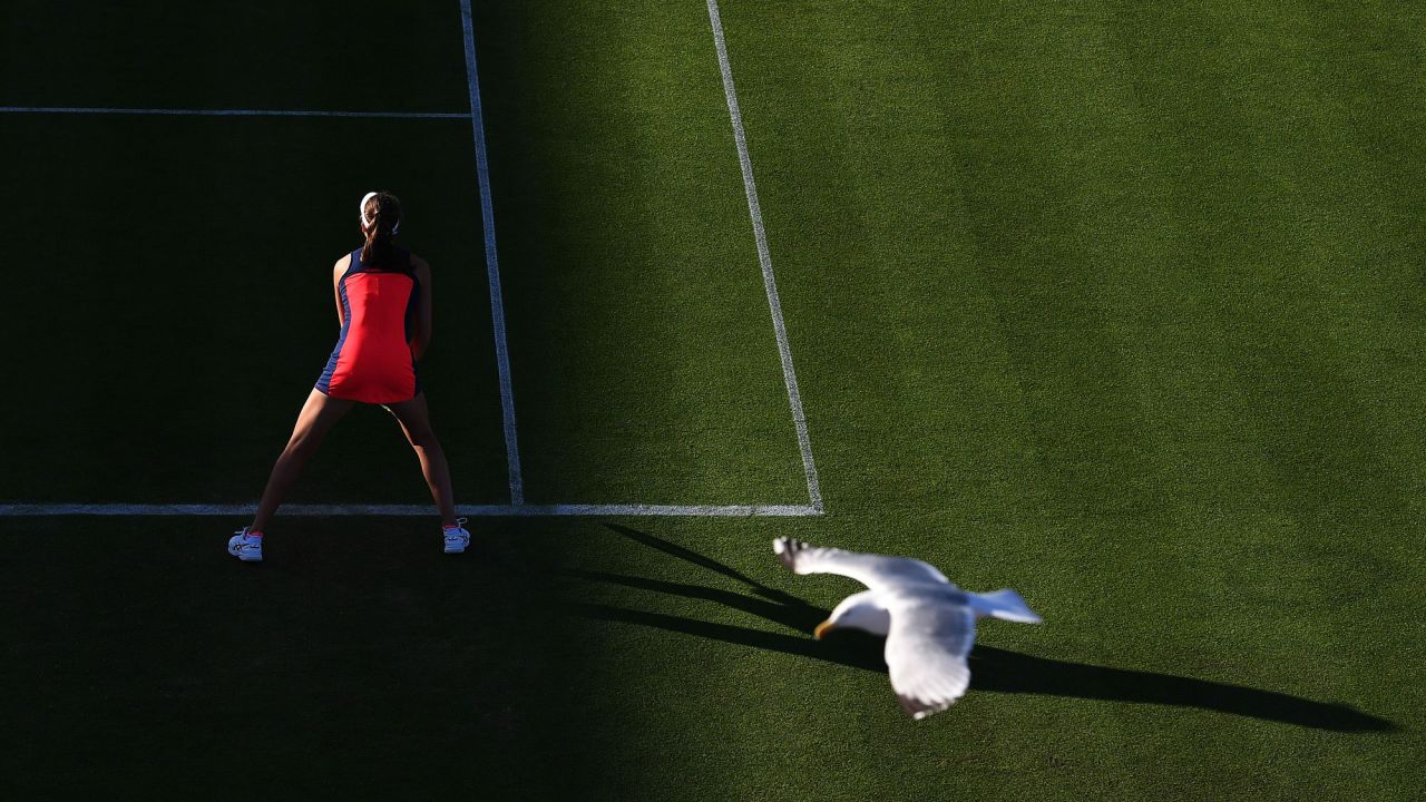 A bird flies over a tennis court in Eastbourne, England, where Johanna Konta was awaiting a serve on Thursday, June 29.