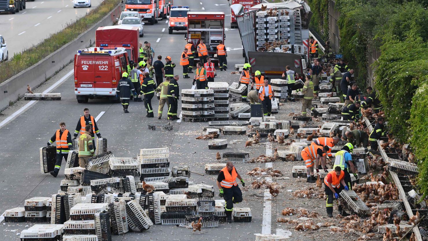 Firemen remove chicken and transport boxes from a highway near Linz, Austria on Tuesday.